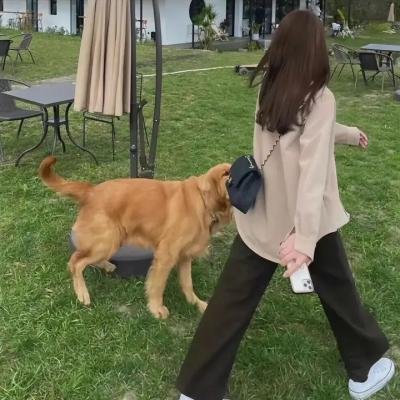 凶宅实录