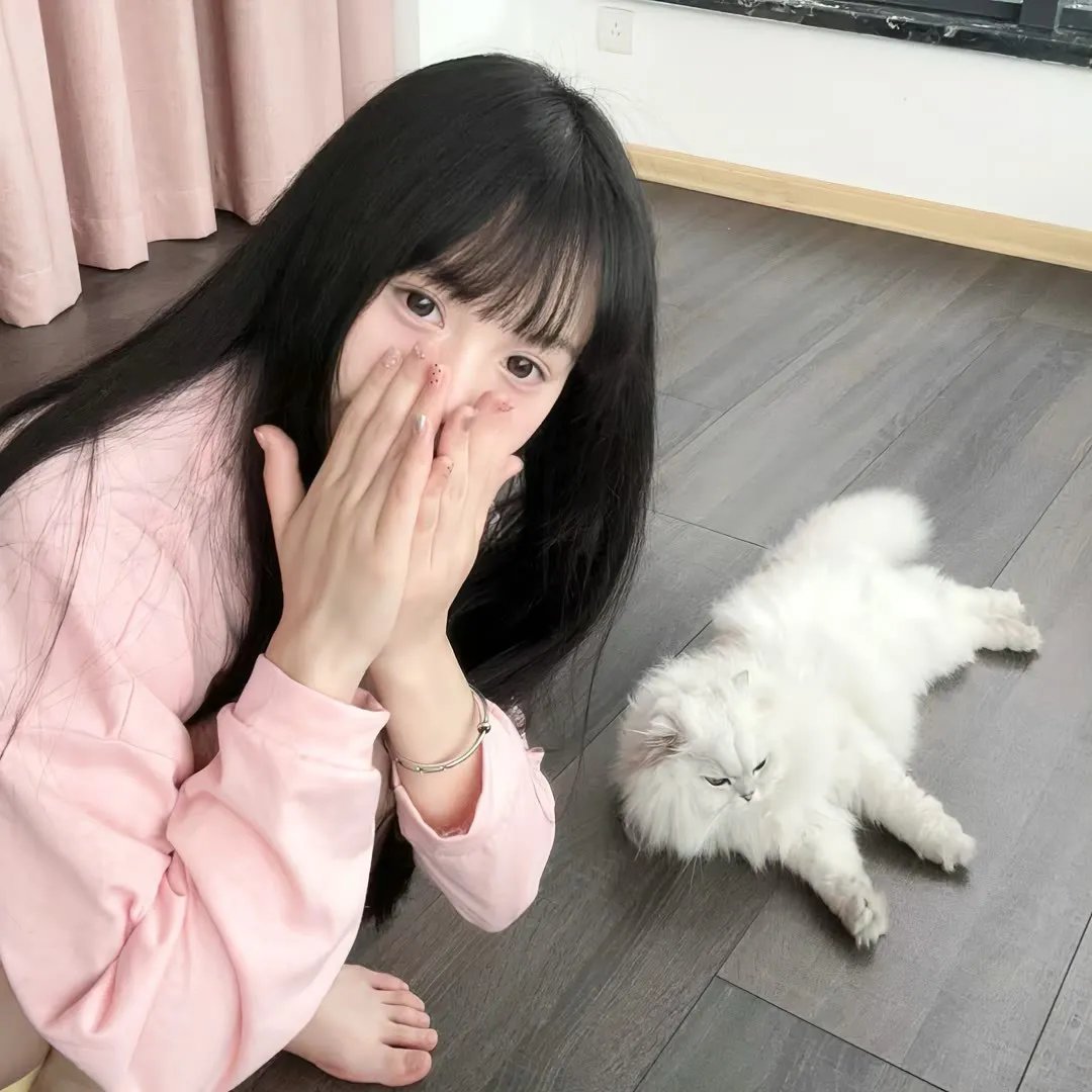 吉什岛的故事